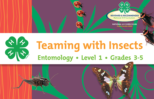 4-H curriculum cover with various bugs.