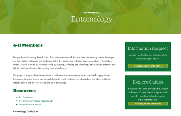 Texas 4-H entomology website homepage with green banner at top.