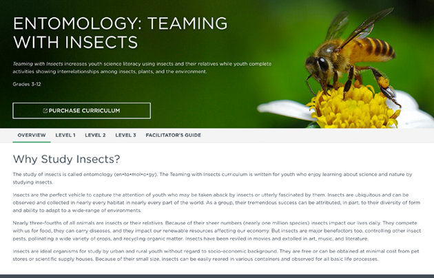 4-H Entomology website homepage with bee on flower next to the title.