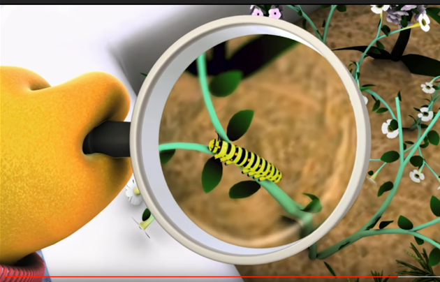 SSeeing a caterpillar under a magnifying glass.