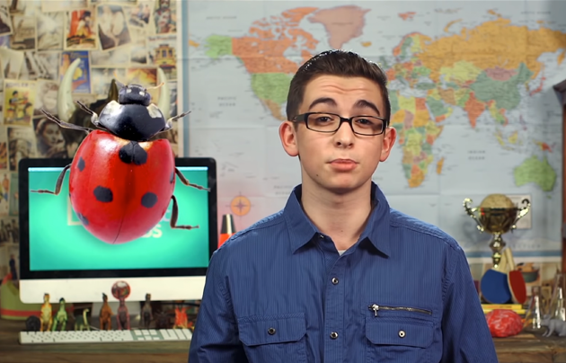 Video host in front of a map next to an oversized computer generated ladybug.