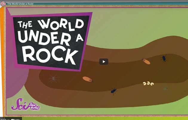 Illustration of bugs in the dirt.