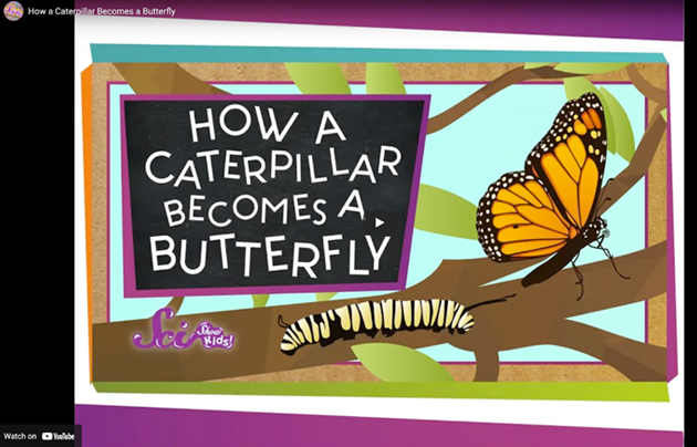 Illustration of caterpillar and butterfly on a branch.