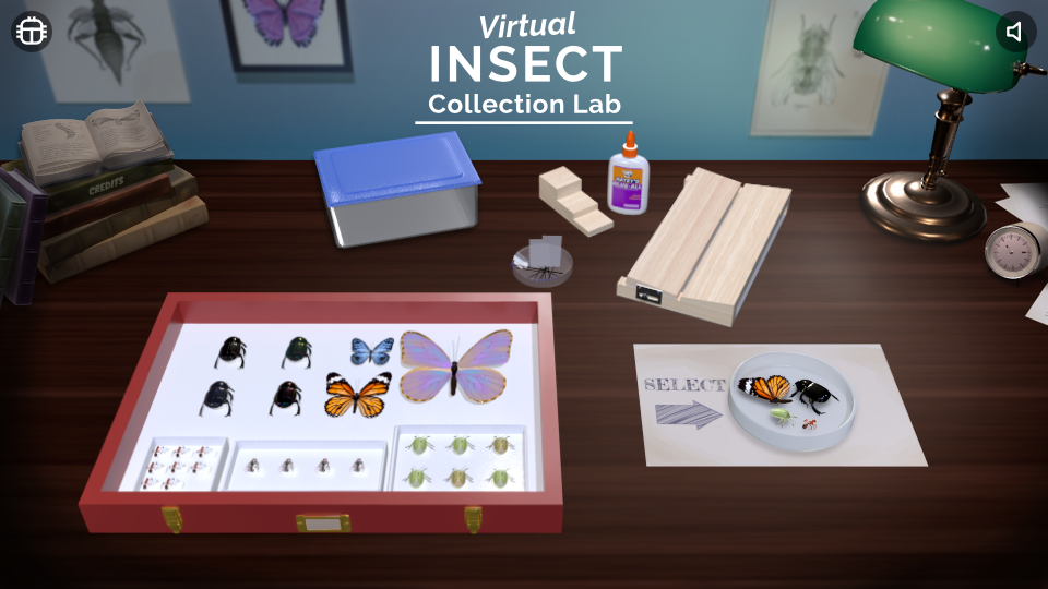 screenshot of lab